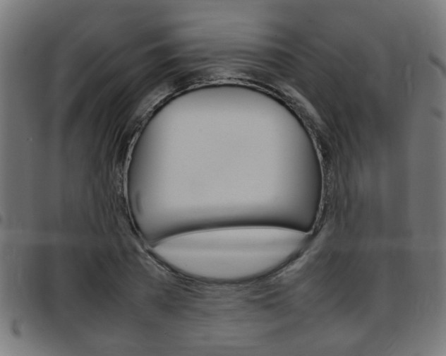 X0000097780785200803070912