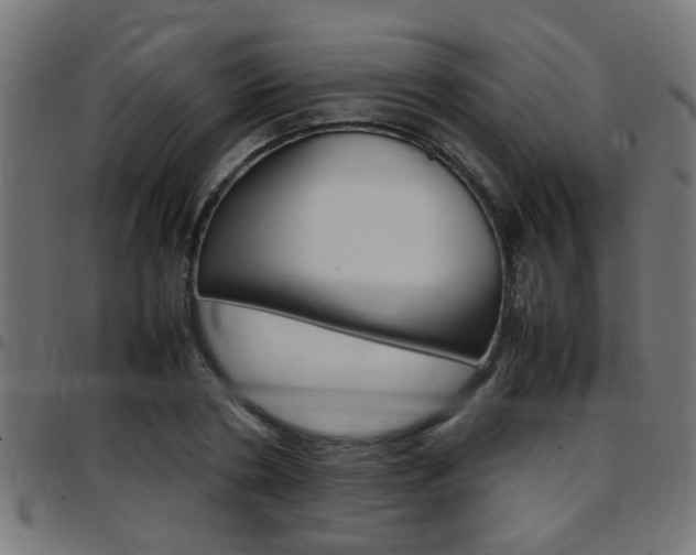 X0000097780786200803070912