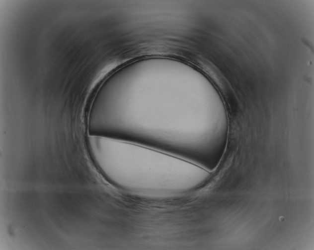 X0000097780787200803070912