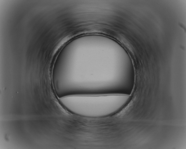 X0000097780789200803070912