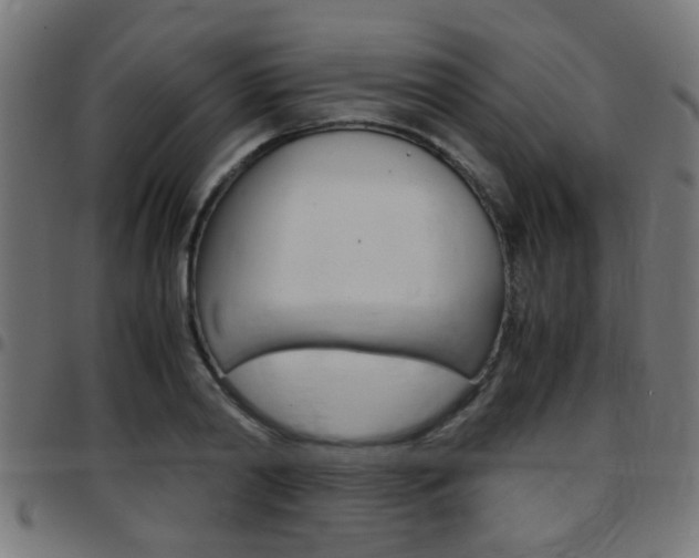 X0000097780790200803070912