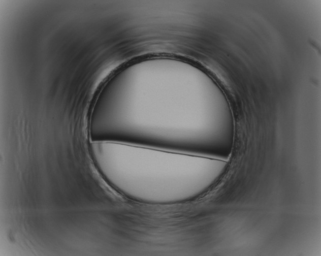 X0000097780791200803070912