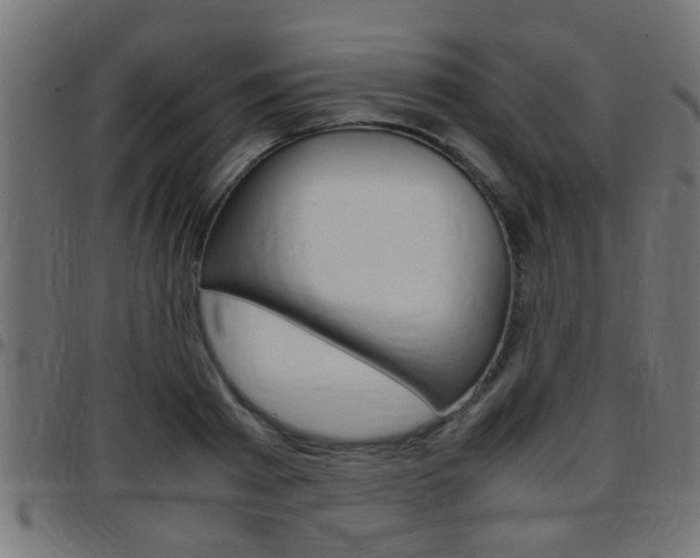 X0000097780793200803070912