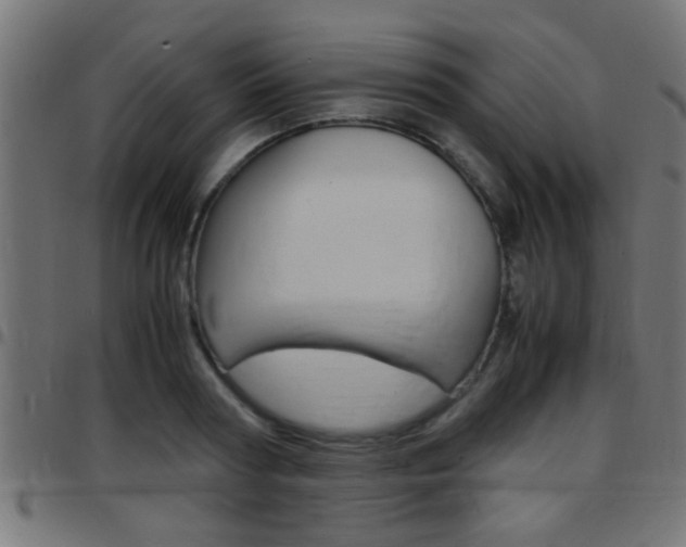 X0000097780794200803070912