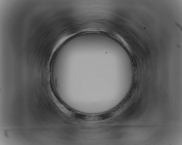 X0000097780795200803070912