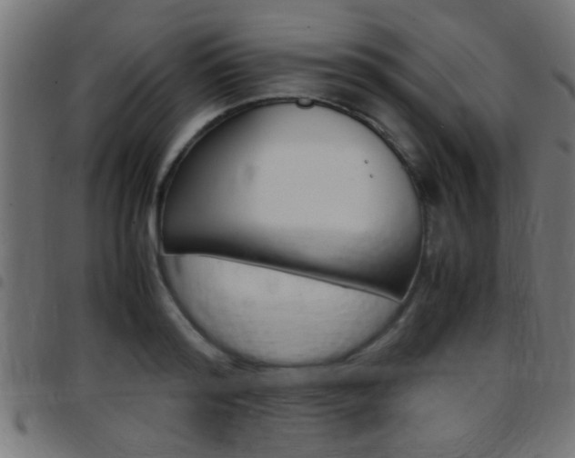 X0000097780796200803070912