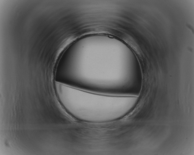 X0000097780797200803070912