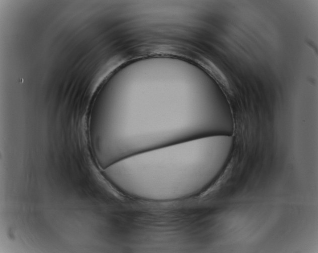X0000097780798200803070912