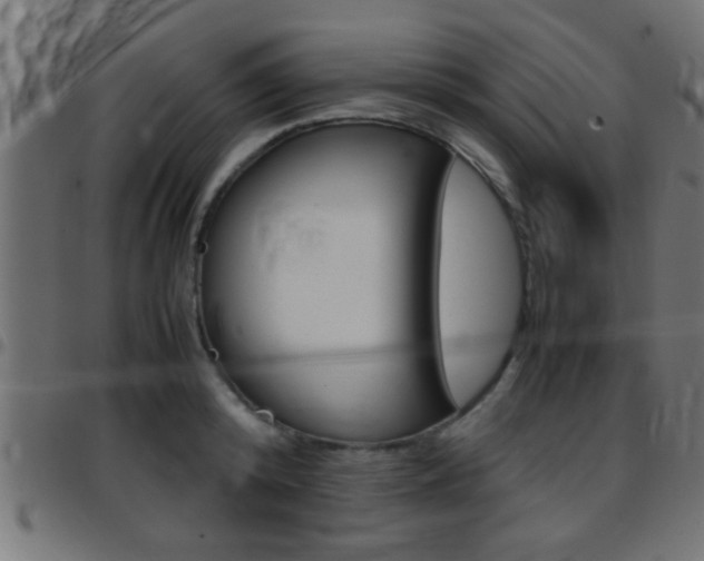 X0000097780800200803070912