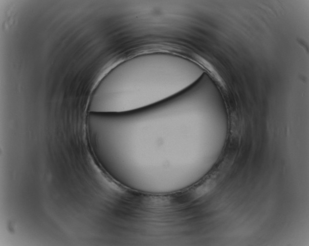 X0000097780802200803070912