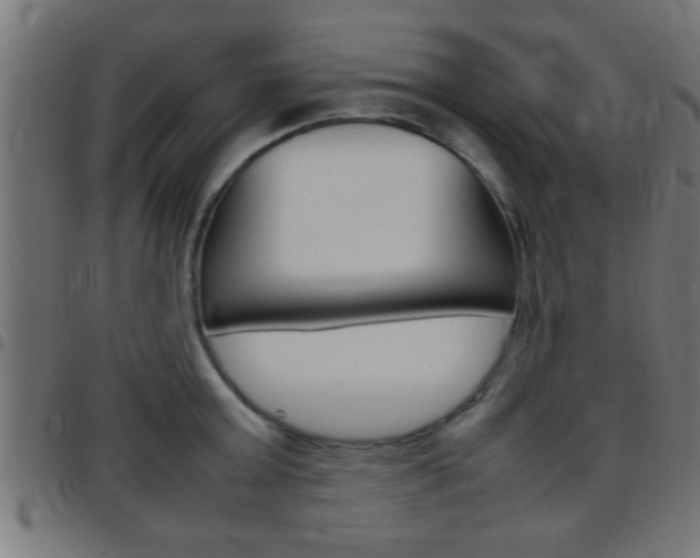 X0000097780803200803070912