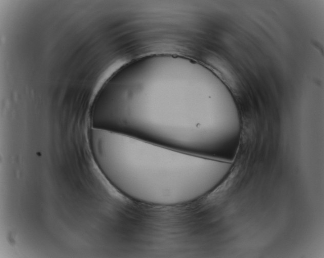 X0000097780804200803070912