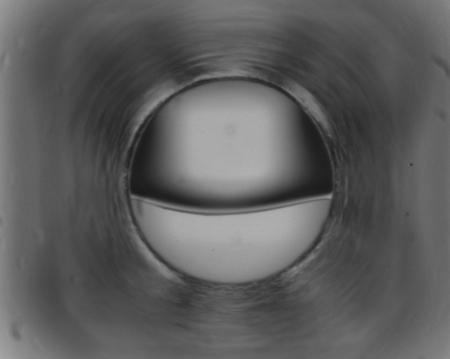 X0000097780805200803070912