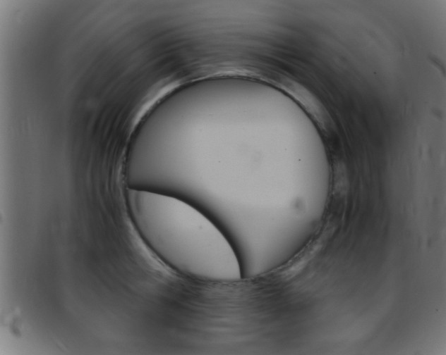 X0000097780806200803070912