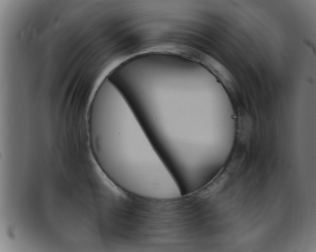 X0000097780808200803070912
