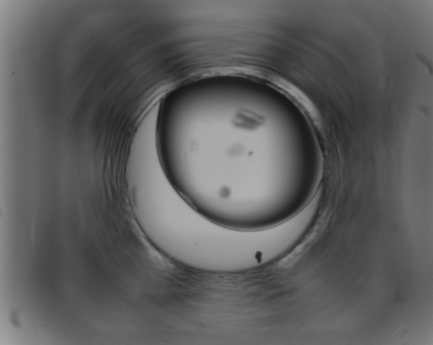 X0000097780809200803070912