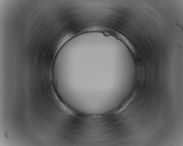 X0000097780810200803070912