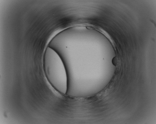X0000097780811200803070912