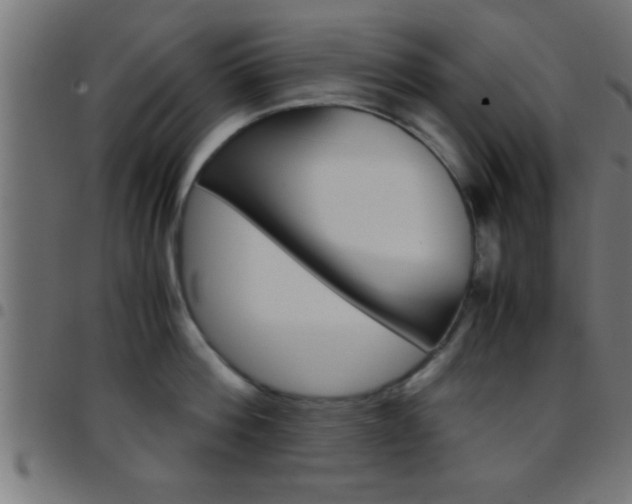 X0000097780812200803070912