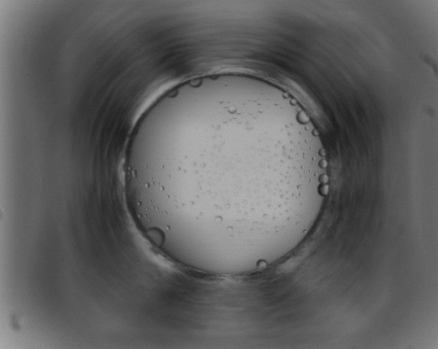 X0000097780814200803070912