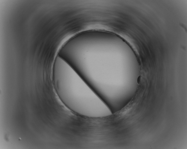X0000097780815200803070912