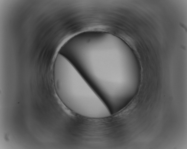 X0000097780816200803070912