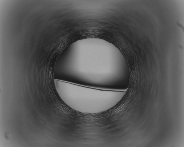 X0000097780818200803070911