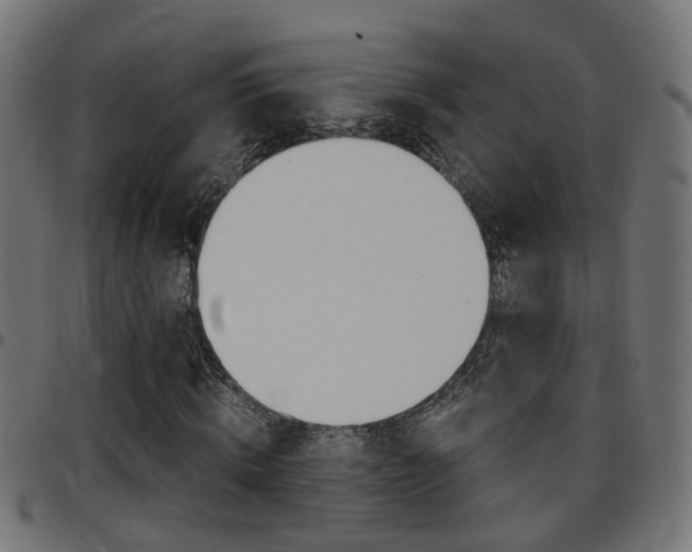 X0000097780820200803070911