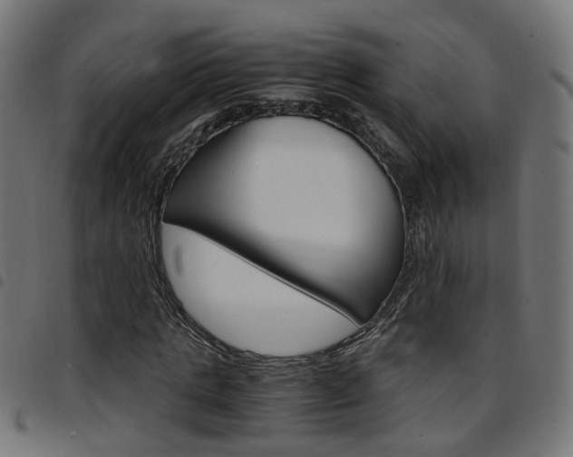 X0000097780821200803070911