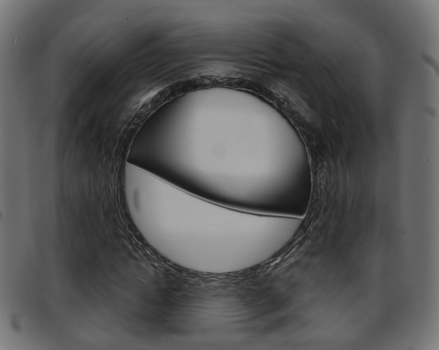 X0000097780822200803070911