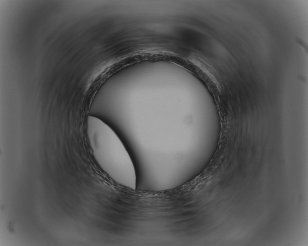 X0000097780823200803070911