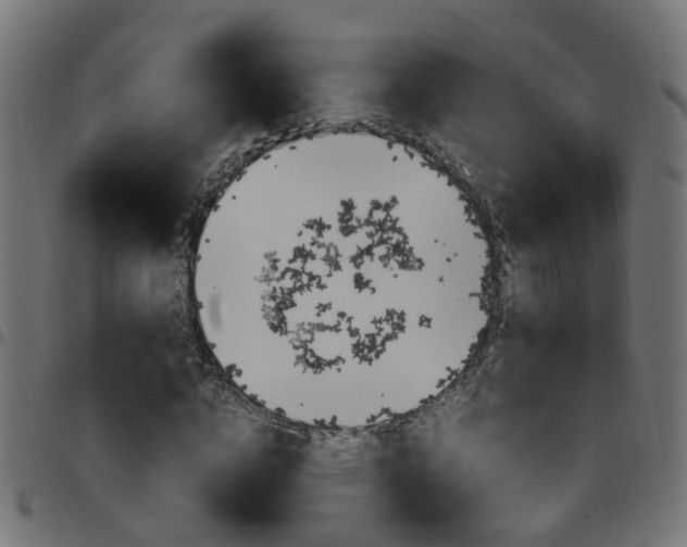 X0000097780824200803070911
