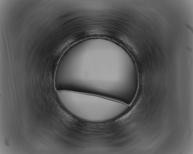 X0000097780825200803070911