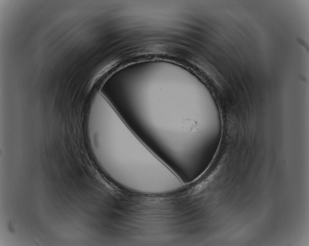 X0000097780826200803070911