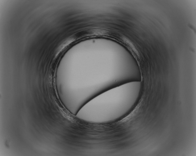 X0000097780827200803070911