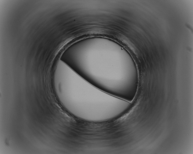 X0000097780829200803070911