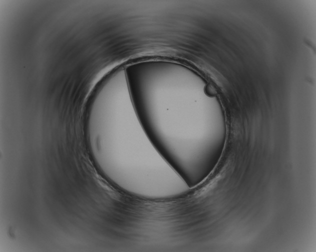 X0000097780830200803070911