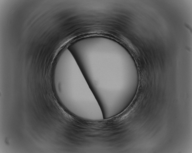 X0000097780831200803070911