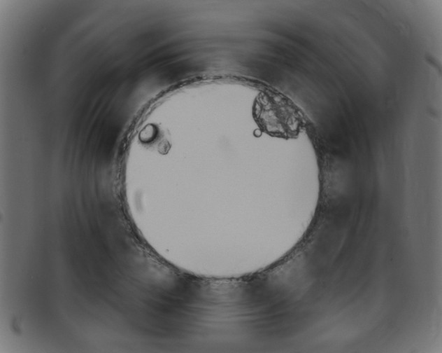 X0000097780832200803070911