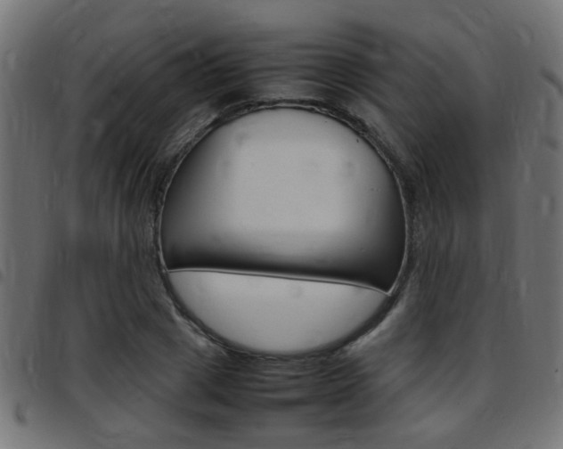 X0000097780833200803070911
