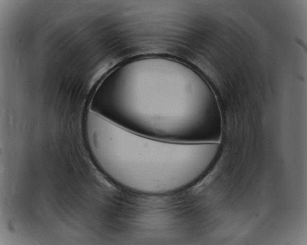 X0000097780834200803070911