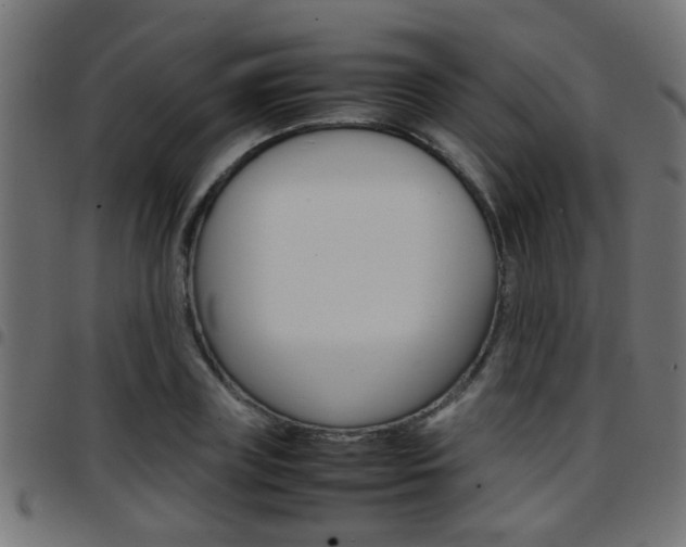X0000097780835200803070911