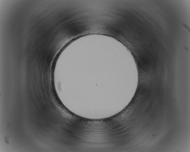 X0000097780836200803070911