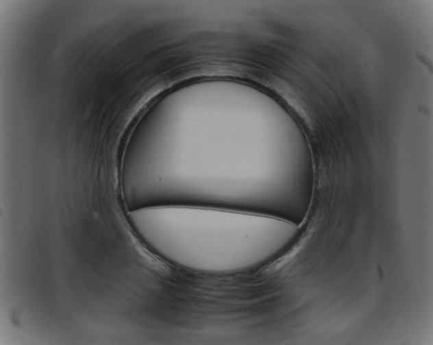 X0000097780837200803070911