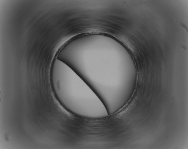 X0000097780839200803070911