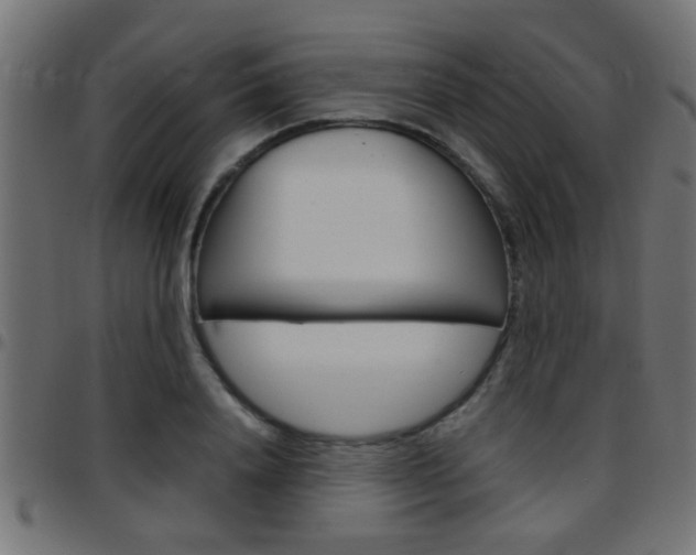 X0000097780840200803070911
