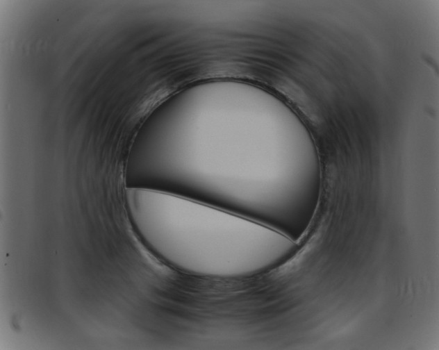 X0000097780841200803070911