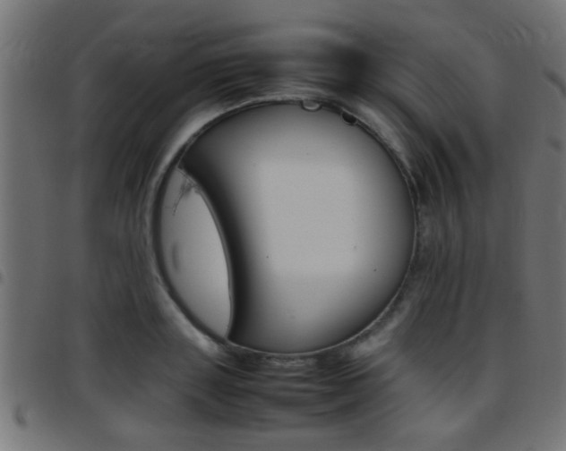 X0000097780843200803070911