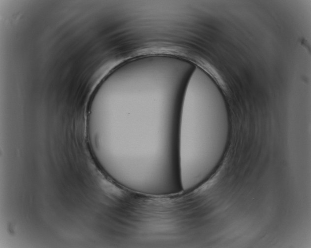 X0000097780844200803070911
