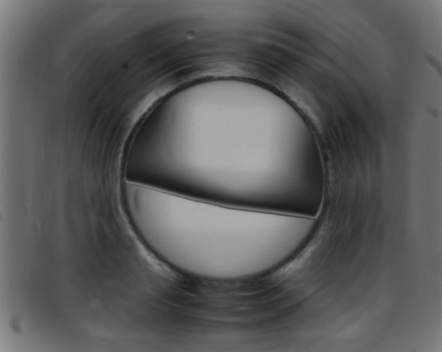 X0000097780845200803070911